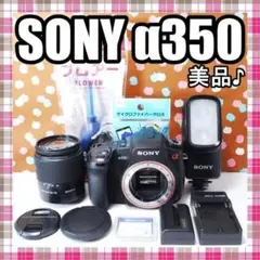 ✨届いてすぐ使える✨美品✨SONY α350 レンズセットのサムネイル