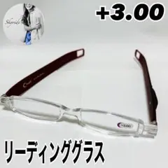 エニックス ペン型 リーディンググラス シニアグラス 老眼鏡 +3.0 ボーダー