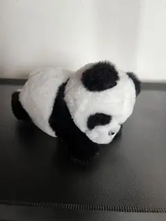 パンダ