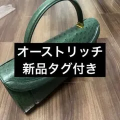 2026年最新】OSTRICH カラー：グリーン系 レディース ハンドバッグの