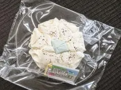 醒醒wakey チョコミントジェニークッキー　スクイーズ