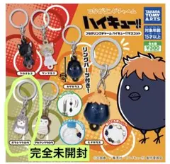 ハイキュー‼︎つながリングチャーム　ボクトフクロウ