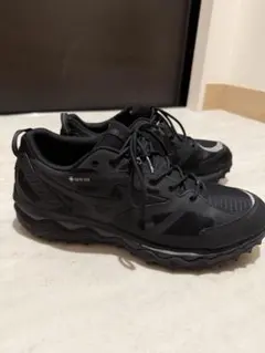 MIZUNO WAVE MUJIN TL GTX GORE-TEXのサムネイル