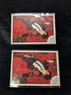 SnowMan 宮舘涼太 ミニフォトステッカー 2枚セット