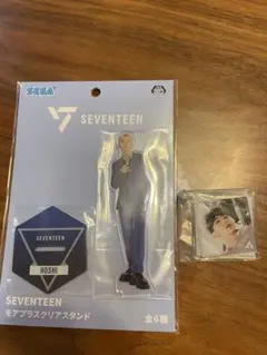 seventeen セブチ　SEGA アクスタ　SVTアクリルチャームホシ