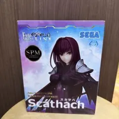 Fate/EXTELLA LINK SPM スカサハ フィギュアのサムネイル