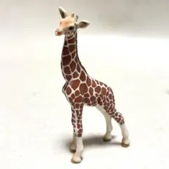 ドイツ シュライヒ schleich フィギュア キリン （仔）