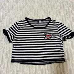 ストライプ クロップドTシャツ ハート刺繍