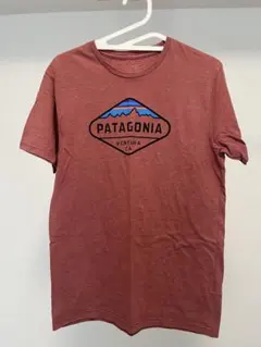 パタゴニア　メンズ　Tシャツ Sサイズ