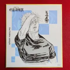 2026年最新】呪術廻戦展 色紙の人気アイテム - メルカリ