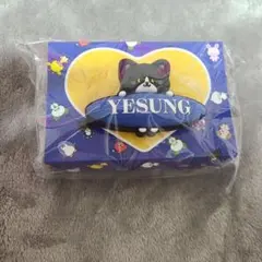 2026年最新】イェソン ペンライトの人気アイテム - メルカリ