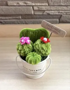 [お値下げ中！］サボテンと多肉植物の寄植え　モールフラワー　枯れないお花のサムネイル