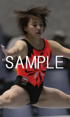 【むぅ様専用商品】0106 村上茉愛　女子体操　2L版写真　5枚セット