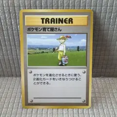 2026年最新】ポケモンカード 旧 ポケモン育て屋さんの人気アイテム