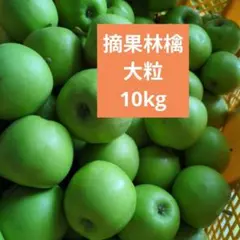 摘果りんご　大粒　サンふじ林檎　約10キロ 送料込み　115のサムネイル