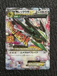 MレックウザEX 25th