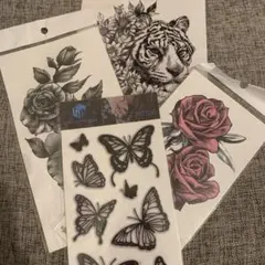 Item thumbnail for item ab4e400c-9073-4191-ae6e-5653c2eef31a