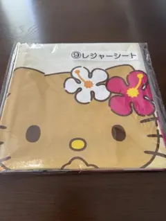 (いちごさん専用)ハローキティ レジャーシート