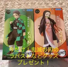 ☆【新品未使用・箱あり！】鬼滅の刃【炭治郎&禰豆子】SPMフィギュア兄妹の絆