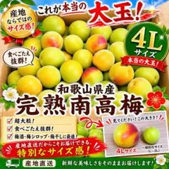 【お手頃価格✨️】みなべ産 青梅 秀品（A級）2L 10kg お手頃価格✨️】みなべ産 青梅 秀品（A級）2L 10kg - メルカリ