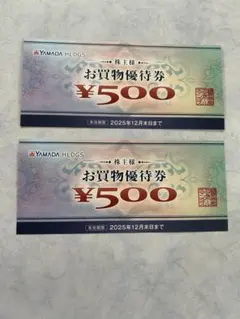 YAMADA HLDGS. お買物優待券 ¥1,000 分(¥500 x 2枚)