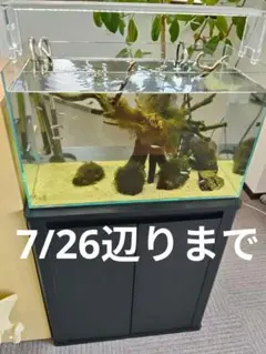 ADA 水槽台&ライトセット（お引き取り限定） 2026年最新】ada水槽台の人気アイテム - メルカリ