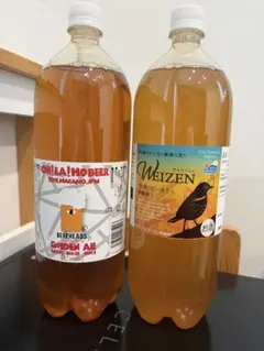 クラフトビール 1.5L 2本セット DREAM BEERのサムネイル