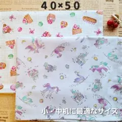 No.123-2　ランチョンマット40×50　2枚セット