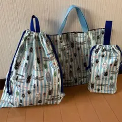 昆虫図鑑柄　内ポケット付きレッスンバッグ&体操着袋&上履き入れ　3点セット