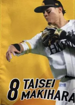 MAKIHARA TAISEI フェイスタオル 8番