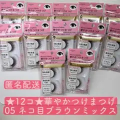 2025年最新】ルージーン華やかつけまつげの人気アイテム - メルカリ