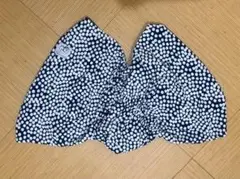 Item thumbnail for item 2099b66f-05cd-4526-a59c-67a2048ef172