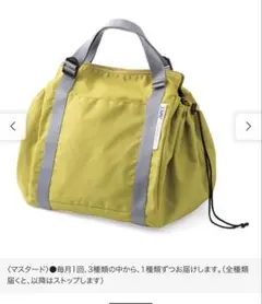 LAMIPLUS（ラミプリュス）新品　レジカゴリュックのサムネイル