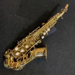 今月限定新品】カーブドソプラノサックス 唯一無二の音色！動画あり
