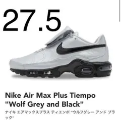 Nike Air Max Plus TNPO Grey and Black