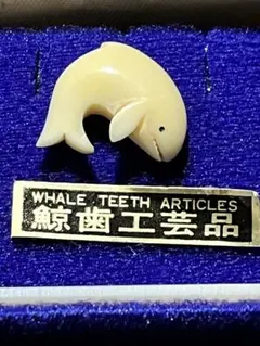 くじらの歯　クジラ　鯨 くじらの歯 マッコウクジラの歯 鯨歯