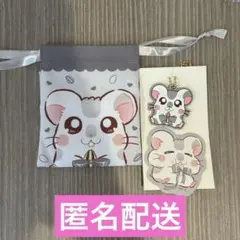 とっとこハム太郎　こうしくん　セット