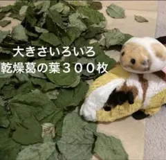 ※期間限定で大幅値下げ中！気ままな旅人様 リクエスト 2点 まとめ商品