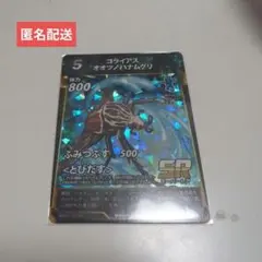 ゴライアスオオツノハナムグリ