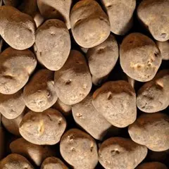 氏家様専用⑩③北アカリM メークインＬ K4/2取り置き キャンセル無し条件付き