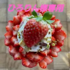 ひろりん様専用