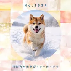 Item thumbnail for item 3cf64b4f-3b8b-44a3-9228-42767952585b