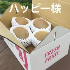 2026年最新】和田果樹園の人気アイテム - メルカリ