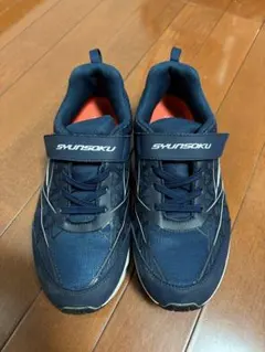 Item thumbnail for item 57a71f02-6cd4-4f1e-83bb-1b2401b5d24c