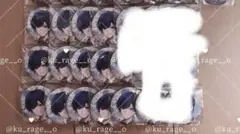 いれいす if 5周年缶バ 13個セット