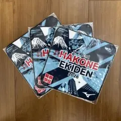 Item thumbnail for item 530d0388-f741-4b7f-8997-784efb5457df