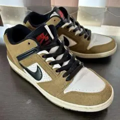 Nike SB Air Force 2 Low Escape 希少