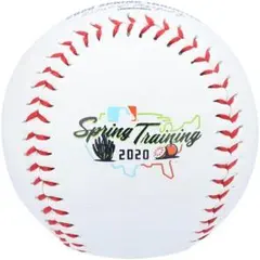 ドジャースアリゾナキャンプMLB公認サイン用レプリカボール日本未発売限定品