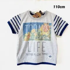 新品／半袖 カットソー Tシャツ 夏服 キッズ 110cm グレー