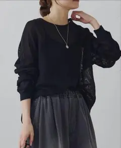 PUAL CE CIN ラッセルメッシュカットソー